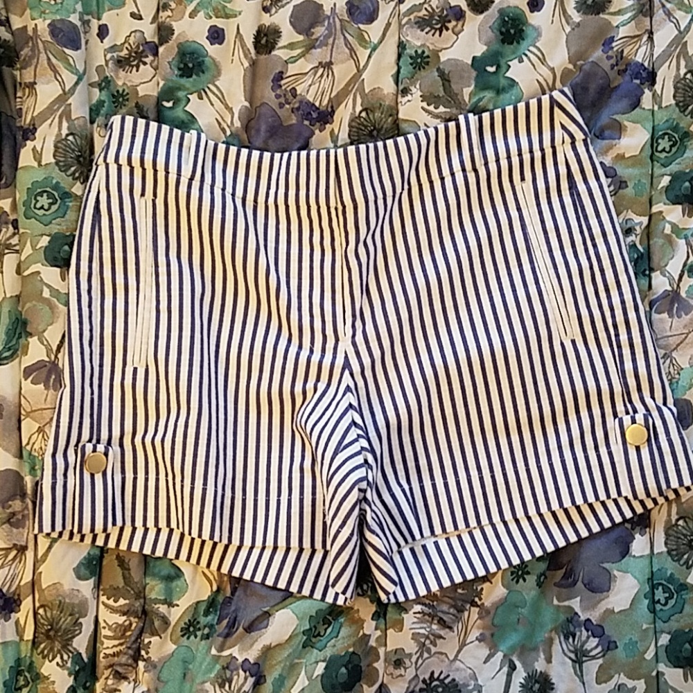 NWT White House Black Market shorts